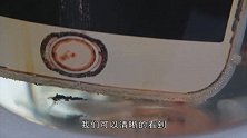 硫酸的腐蚀性有多强，用手机做实验，一起来看看吧