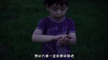 为何萤火虫可以发光？了解其中原因后，网友：原来如此简单！