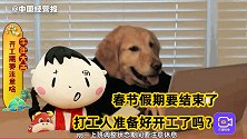吃素有助缓解开工难？春节假期快结束，专治打工人假期综合症！