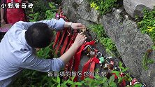 乔家大院墙上总是被游客塞钱，为什么就是塞不满？钱都去了哪里？