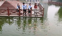 老师带同学去公园秋游喂鱼，同学们喂得都很开心，真是太有爱心了