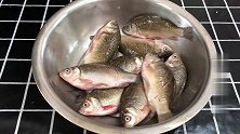 炖鲫鱼时多加这一步，鱼鲜味浓，色香味俱佳