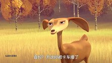 丛林大反攻：棕熊太笨了，竟被松鼠欺负，鹿都瞧不起他