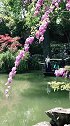江左梅郎，别来无恙