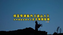 卧龙雏凤返乡创业？重庆姑娘开辟新职场，成为新时代的养蜂人