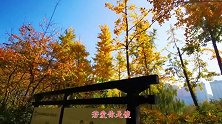 黎瑞恩一首《爱你这样傻》清脆入耳，歌声励人
