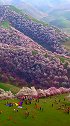 大美伊犁吐尔根杏花沟
