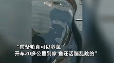 小米su7车主前备箱装鱼，喊话雷军没骗人：开20公里还活着