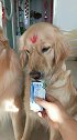 你们猜黑黑的是啥？