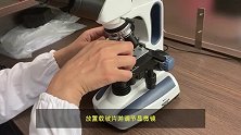 北京中农富源：微生物在显微镜下的动态，很多人没看过
