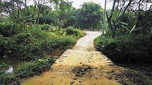 阳江阳春市桥面下沉一年多：数百村民每天冒险过桥