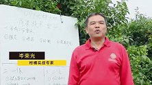 091无核沃柑保果难？这个小技巧很实用