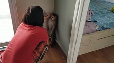 一只奇怪的猴子蹲在墙边，不停地哭泣着，镜头记录下全过程