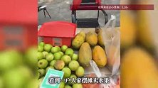 一代“商业鬼才”诞生！水果摊卖杨桃却不见杨桃，顾客一抬头还在树上，网友：主打一个新鲜