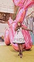 舞蹈穿Lolita小裙子的小姐姐跳一曲《爱的飞行日记》