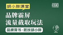 百度霸屏胡小胖：如何用品牌霸屏截取流量 - 品牌宣传推广课堂
