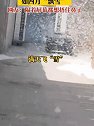 河北邯郸：杨絮随风漫天飞舞如四月“飘雪”