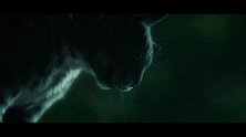 少女被一只猫救活，不仅获得了超能力，还变成了猫女！
