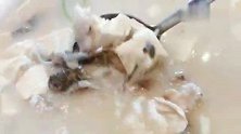 弹口又鲜嫩的鱼丸煲，鲜美的鱼头豆腐汤