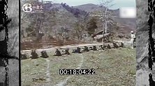1960年北越民兵训练珍贵录像，大部分都是这些人