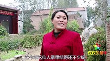 妈妈从老家摘了仙人掌果，你小时候有没有吃过仙人掌果实真有趣