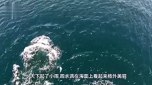 海警在码头巡逻，水面突然出现“庞然大物”！镜头拍下全过程