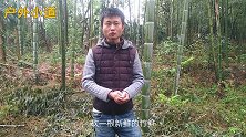 史无前例的泡面新吃法，不用锅不用碗，每年四月吃才最爽