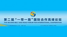 发展中国家成“一带一路”最大受益者