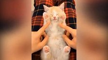 小猫黑黑的眼睛突然好像放出了一道绿光，把我吓得