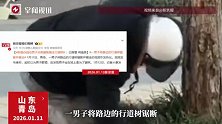 男子当街锯断行道树并搬走，当地街道办回应