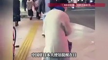 亲历日本撞人族乱象的中国游客发声：他们撞完人头也不回就走了