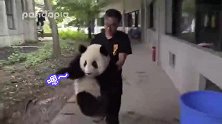 胖娃儿跟奶爸对答如流！么么儿，说好的建国之后不准成精呢？