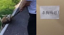 沈阳一对男女持工具抓狗自称“控犬办” 警方介入调查