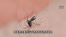 杭州两家人马尔代夫旅游归来，三人同时发烧！紧急提醒！