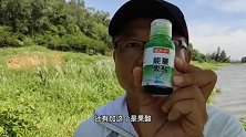 钓鱼人首次测试果酸钓鱼，1份蓝鲫+3滴果酸，这效果怎么样