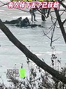 辽宁盘锦：湖滨公园冰面开化，有人掉下去了，已获救