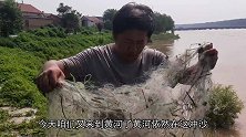 黄河冲沙，小伙急流下粘网，目标：黄河鲤鱼，场面壮观，能逮到吗