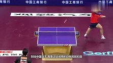 猫咪和主人打乒乓，猫：不是我吹，我躺着跟你打你都打不过我