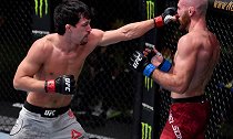 UFC格斗之夜177：奎兰蒂洛VS凯尔-尼尔森
