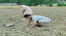 农村大哥不想种玉米了，竟然全都埋了，你这是要挨揍啊！