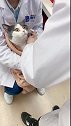 猫小姐姐给我打针要轻一点，我怕疼，一定要轻点啊！