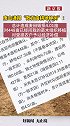 唐山通报“数百亩耕地种树”：总计造成麦田毁损4.01亩，对448亩已间栽苗木组织移植