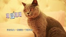 被猫咬了到底用不用打狂犬疫苗？不打会突然死掉吗？