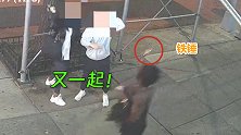 又一起！黑人女子街头用铁锤袭击亚裔 目击者称涉案女子醉酒状态