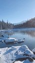 冰雪喀纳斯，这里大概住得有神仙吧