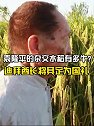 袁隆平的杂交水稻究竟有多牛？