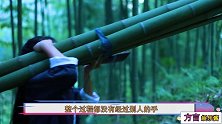 李子柒并非一夜成名，背后的努力付出不是一日