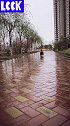 下雨了，我得赶紧回家，这穿雨衣也不行呀
