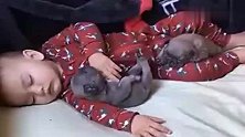 小萌娃与狗同乐，竟然抱着狗狗睡在了一起，你确定不是在狗窝里