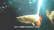 小鱼几天不吃不喝，主人用牙签扒开鱼嘴一看，高兴坏了